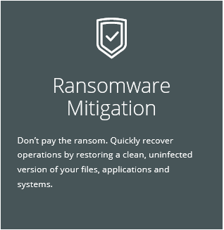 Ransomware Mitigation